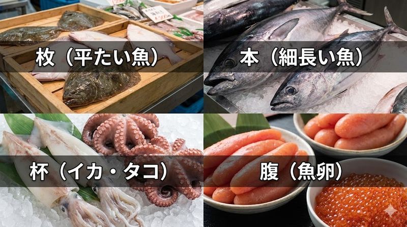 3.他の魚の数え方との比較